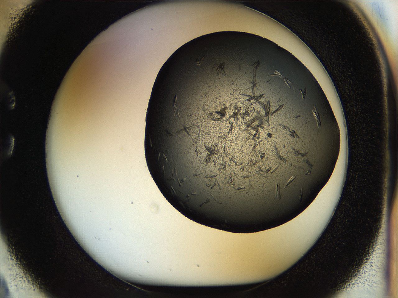 056z_C2_ImagerDefaults_7.jpg