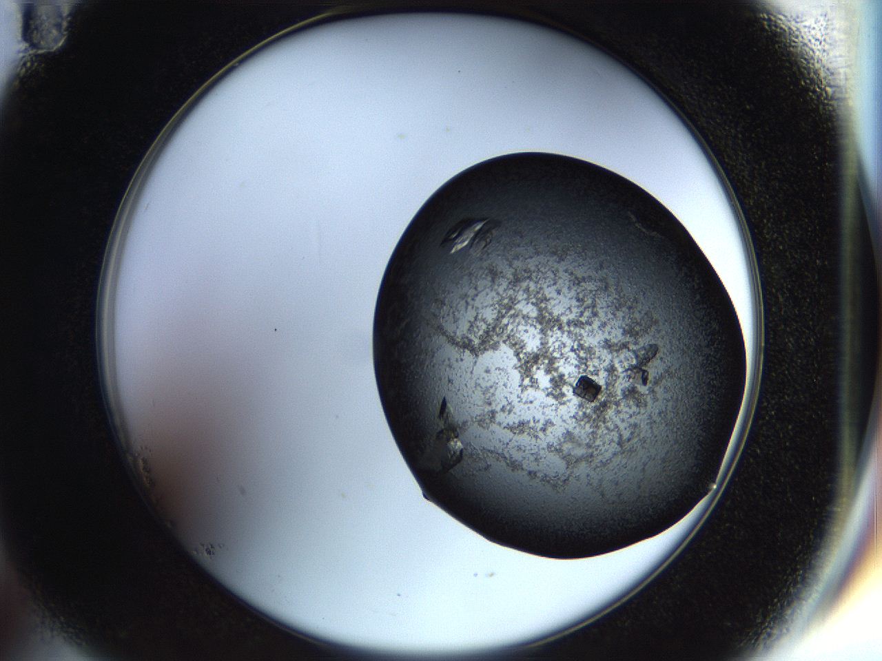 056z_B11_ImagerDefaults_9.jpg