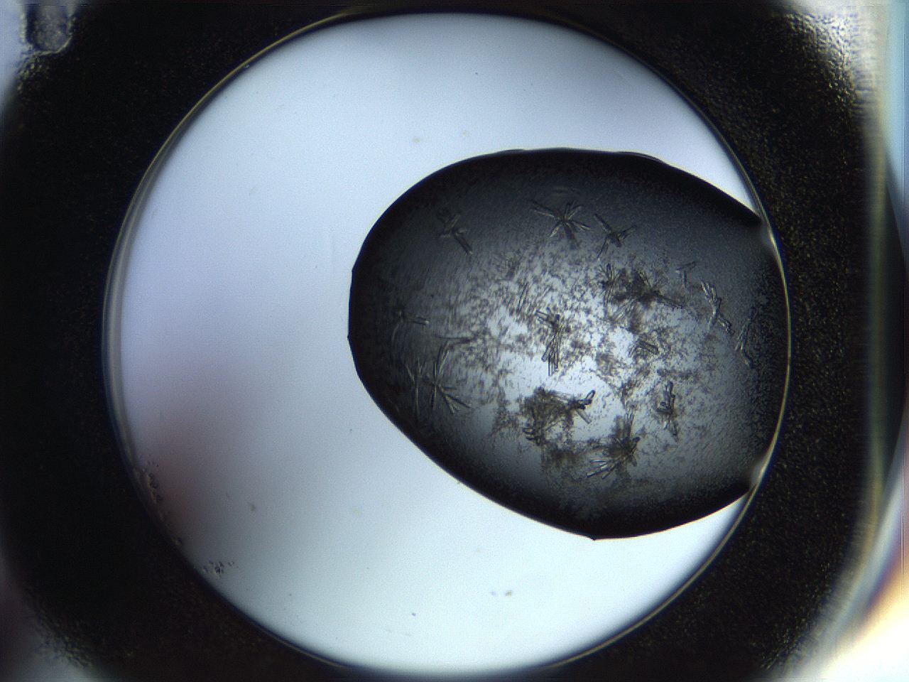 0570_B11_ImagerDefaults_7.jpg