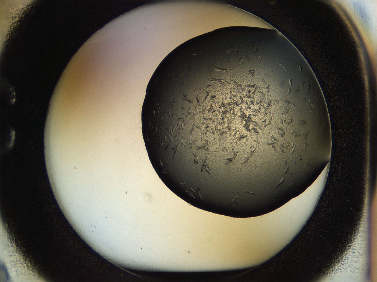 0570_C2_ImagerDefaults_7.jpg