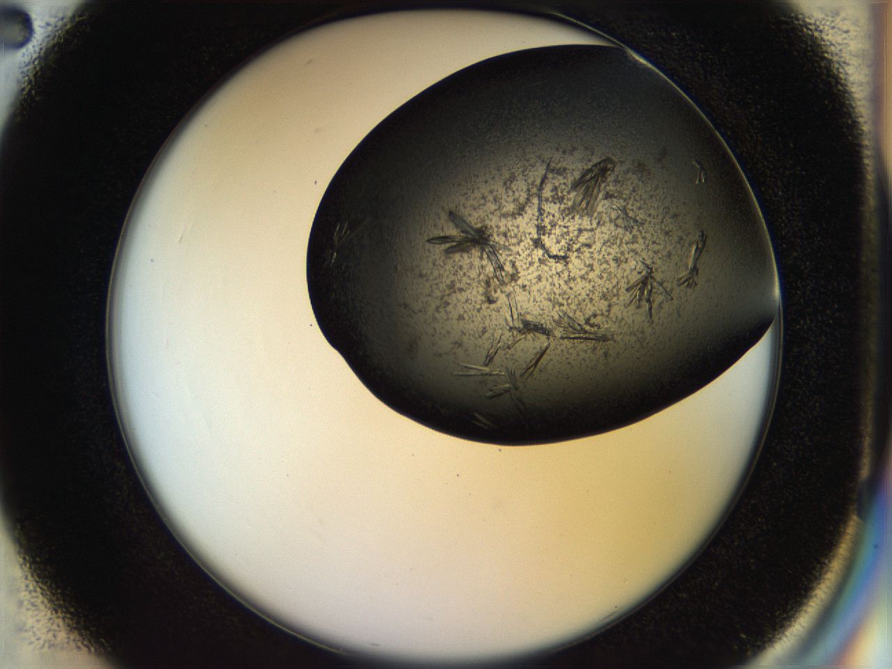 0570_C2_ImagerDefaults_9.jpg