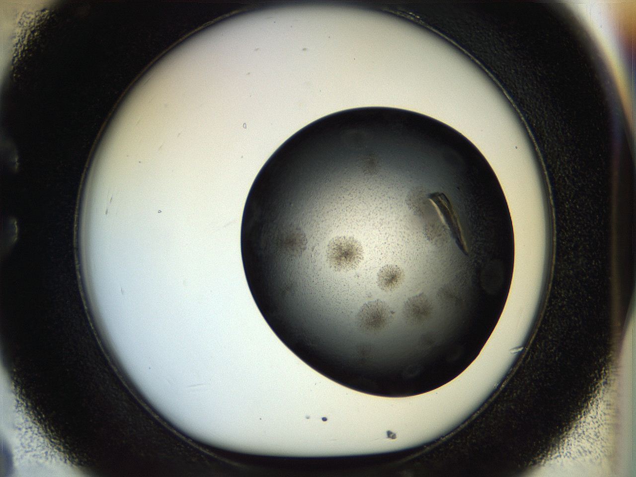 0570_C8_ImagerDefaults_9.jpg