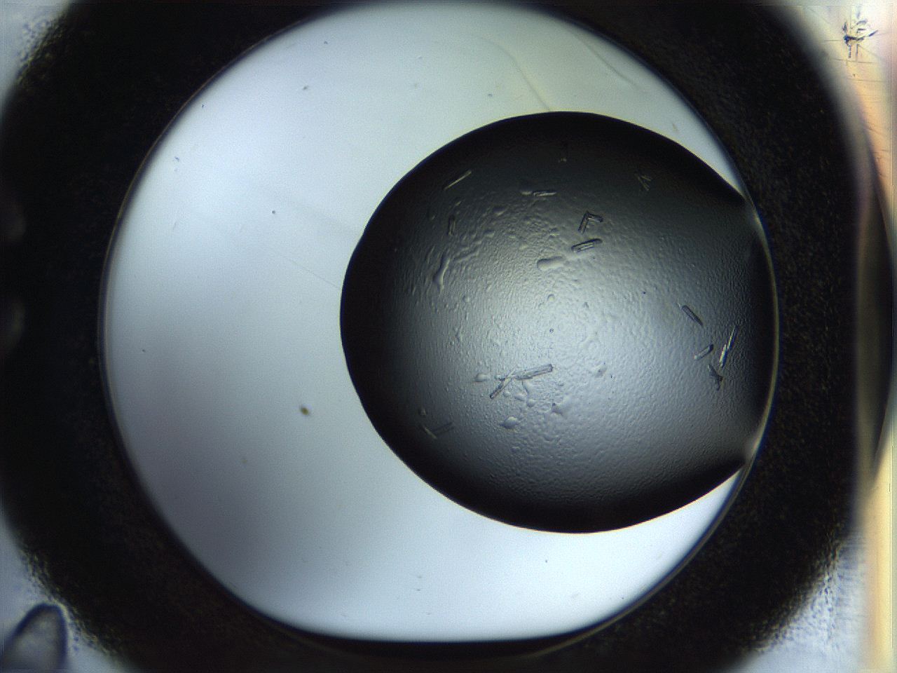 0570_C11_ImagerDefaults_9.jpg