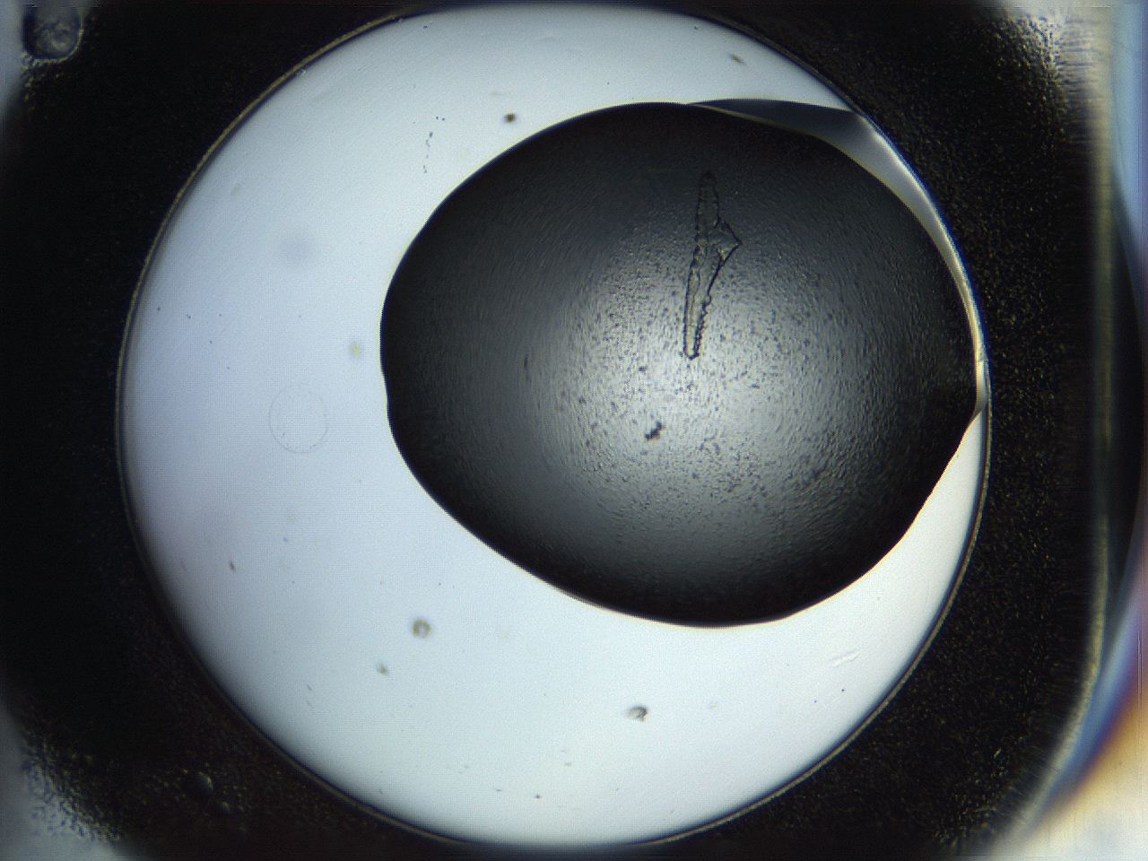 0570_D11_ImagerDefaults_9.jpg