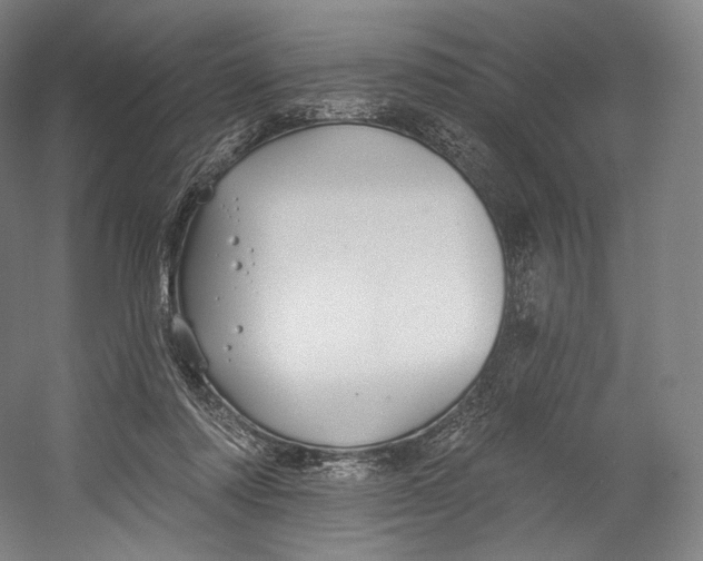 X0000055210310200508301329.png