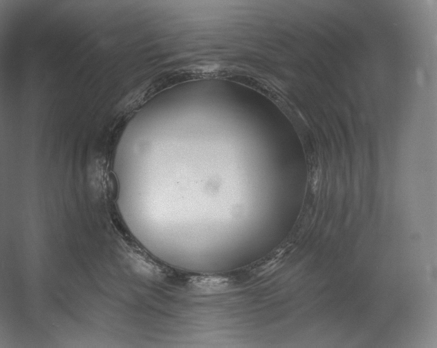X0000055210476200508301326.png