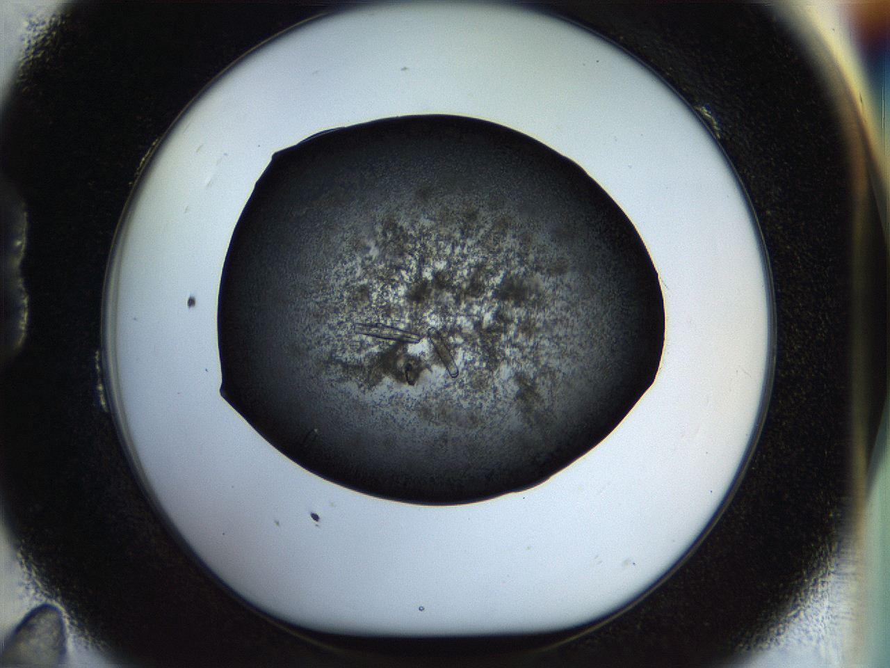 0570_B11_ImagerDefaults_9.jpg