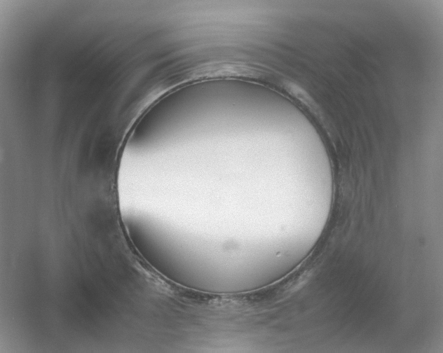 X0000054331089200508111912.png