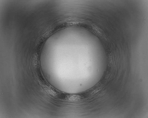 X0000055210463200508301326.png