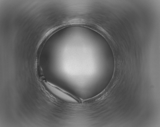 X0000055211461200508301309.png