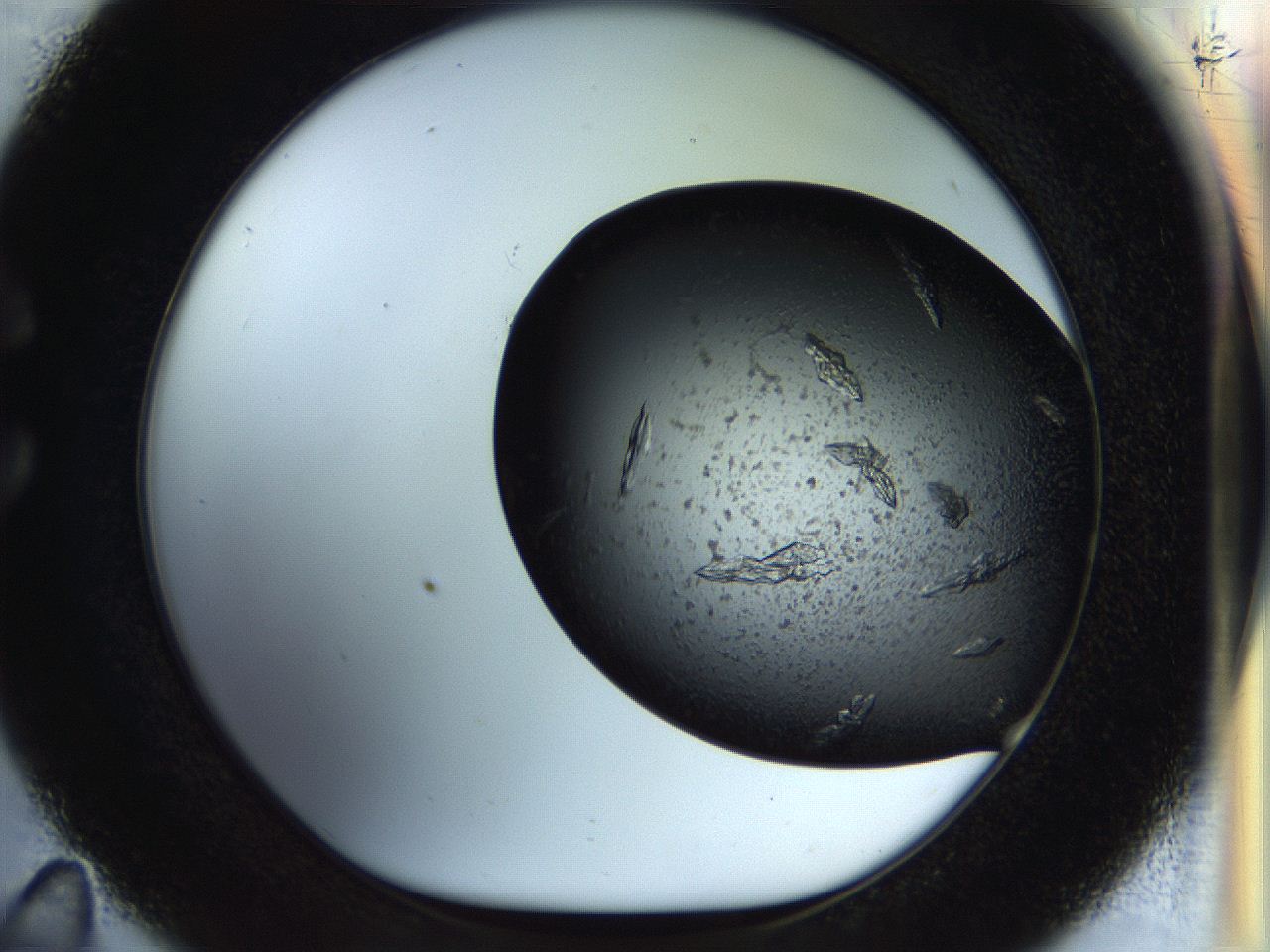 0571_C11_ImagerDefaults_9.jpg