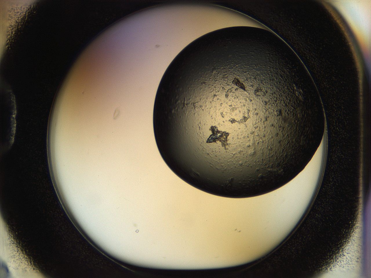 0571_D2_ImagerDefaults_7.jpg