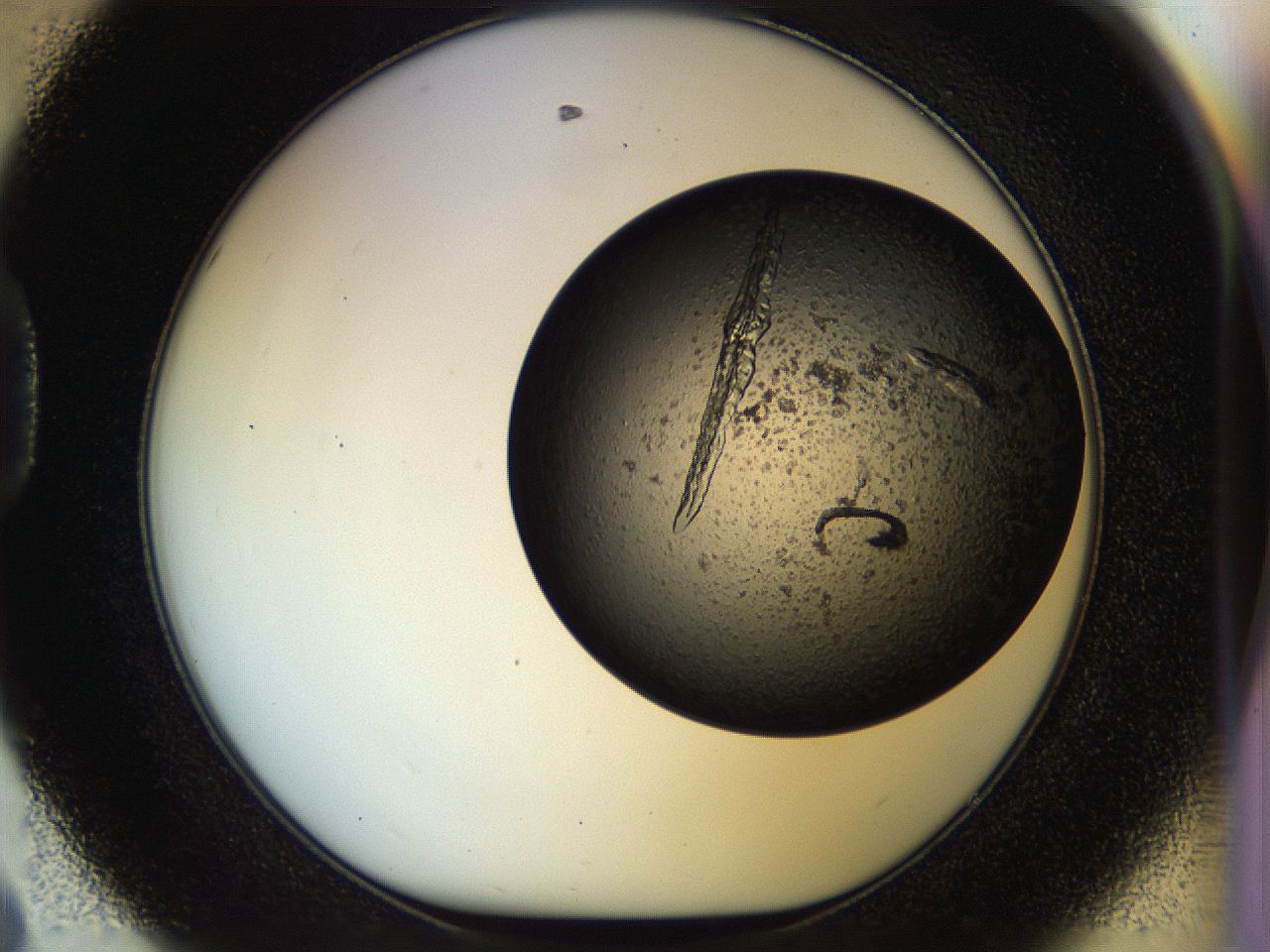 0571_D8_ImagerDefaults_9.jpg