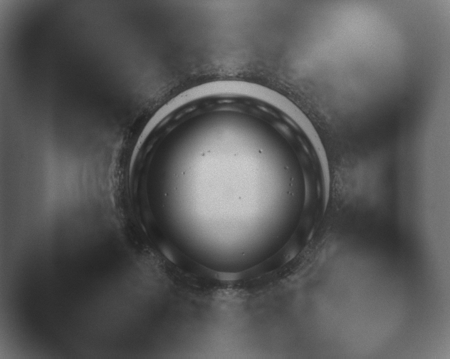 X0000047470216200503091607.png