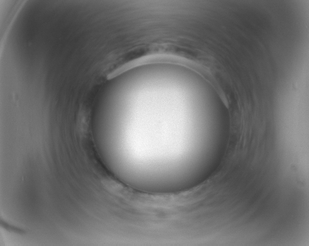 X0000054330037200508111931.png