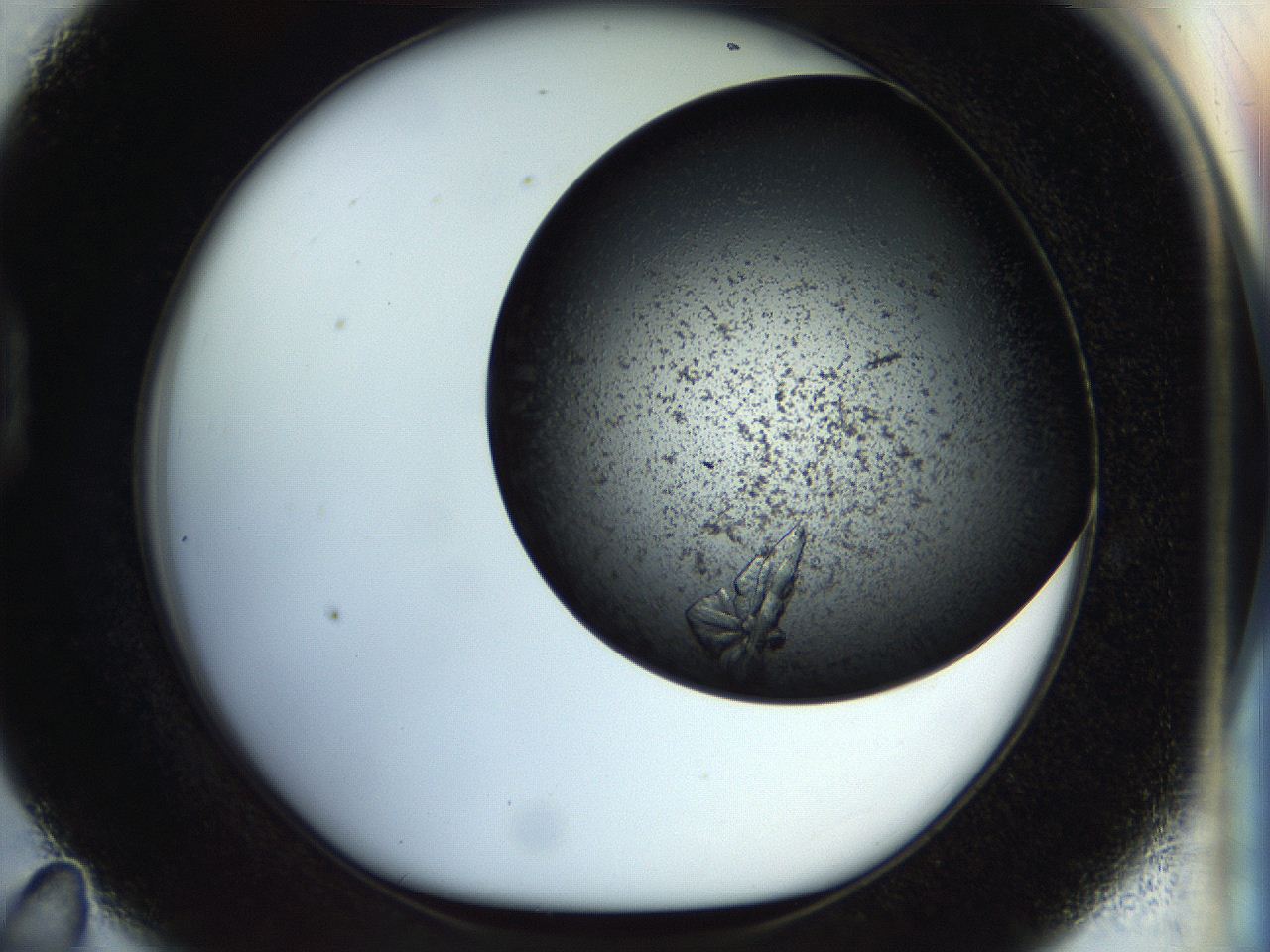 0571_D11_ImagerDefaults_7.jpg