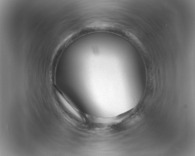 X0000054330399200508111924.png