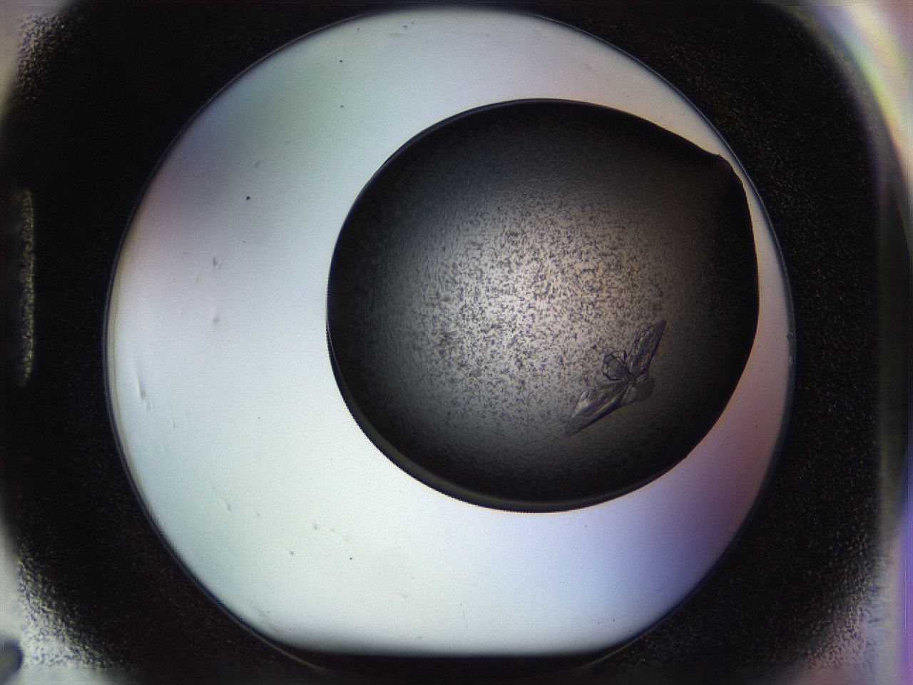 0571_H7_ImagerDefaults_9.jpg
