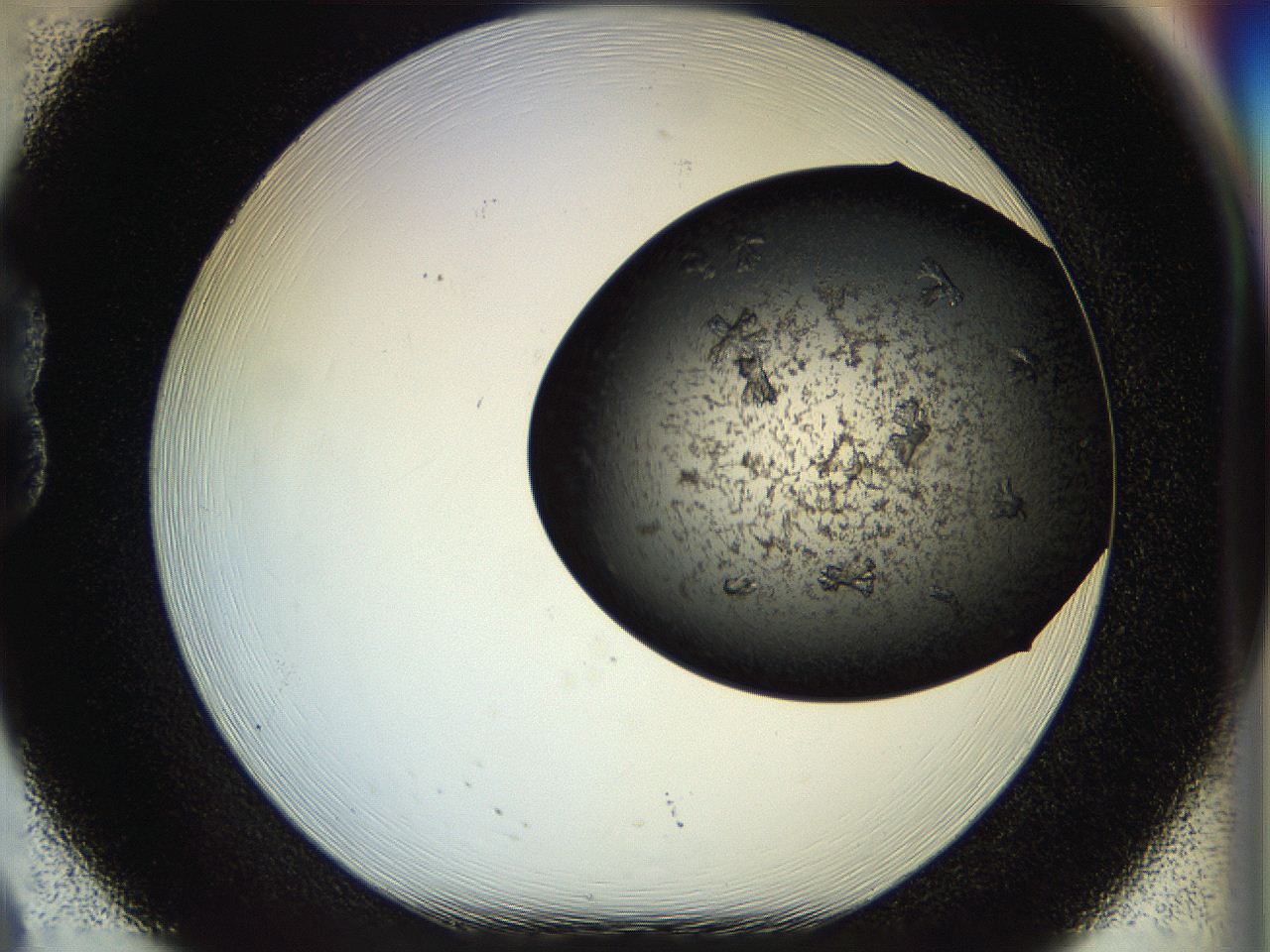 0571_B8_ImagerDefaults_7.jpg