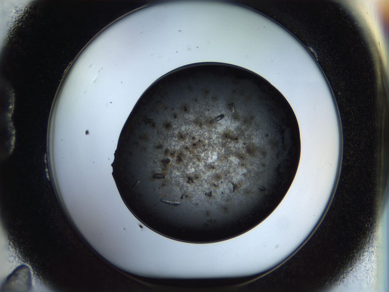0579_B11_ImagerDefaults_9.jpg