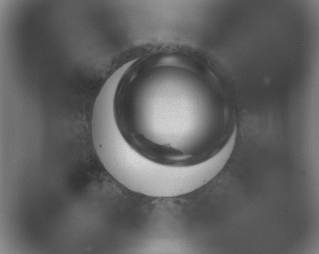 X0000054110918200508022055.png