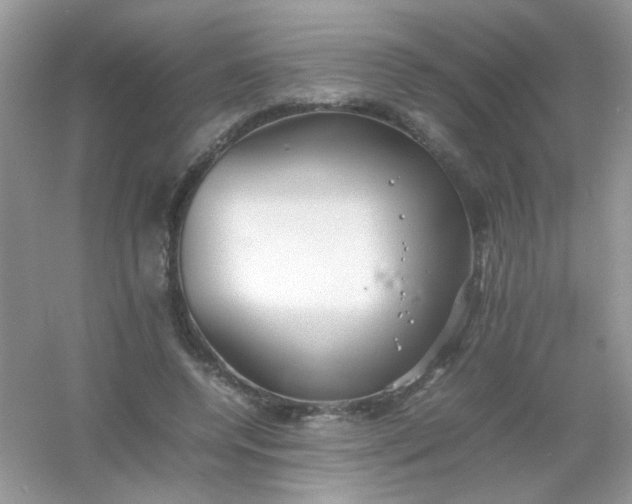 X0000054330544200508111922.png