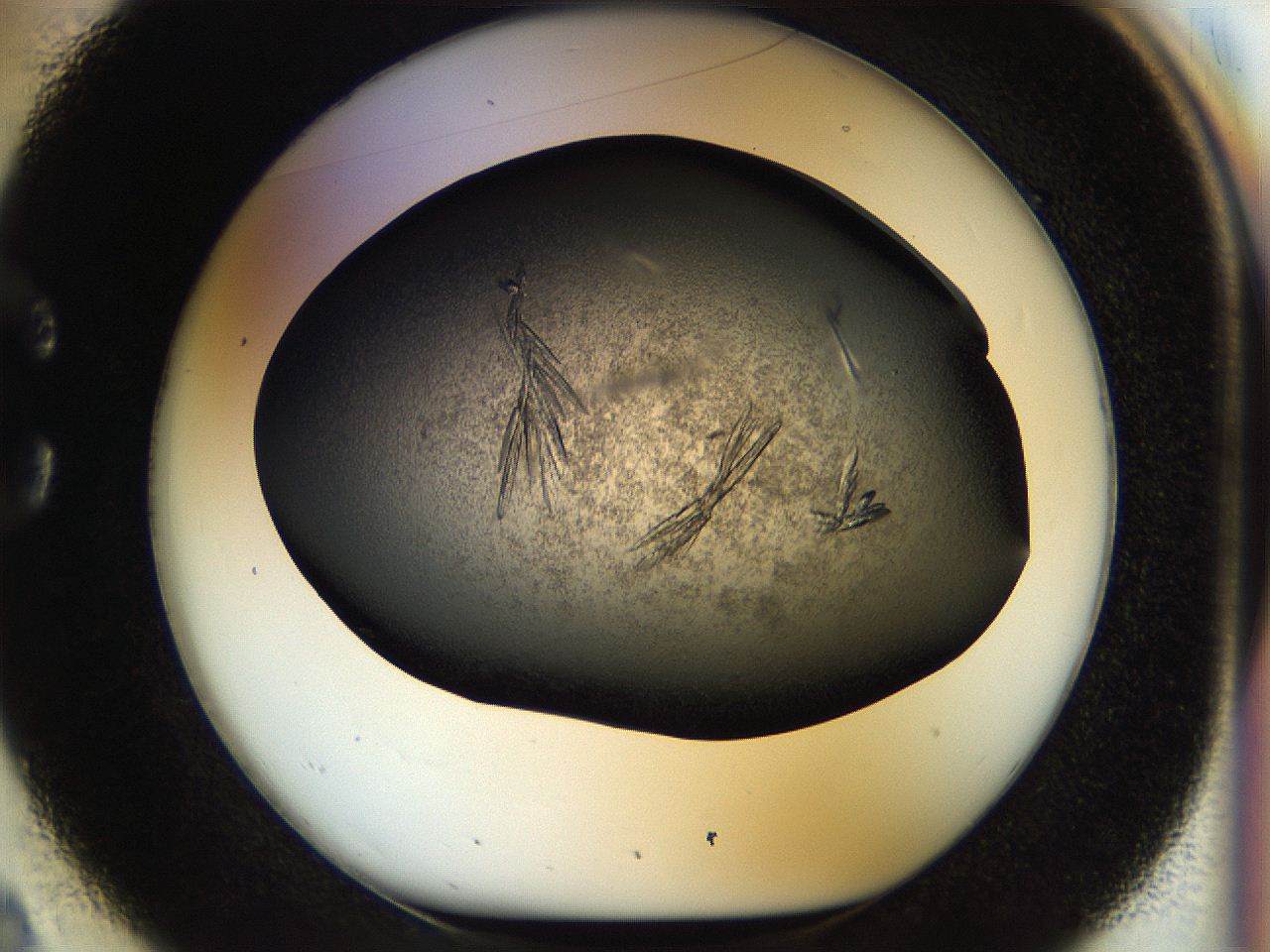 0579_C2_ImagerDefaults_9.jpg