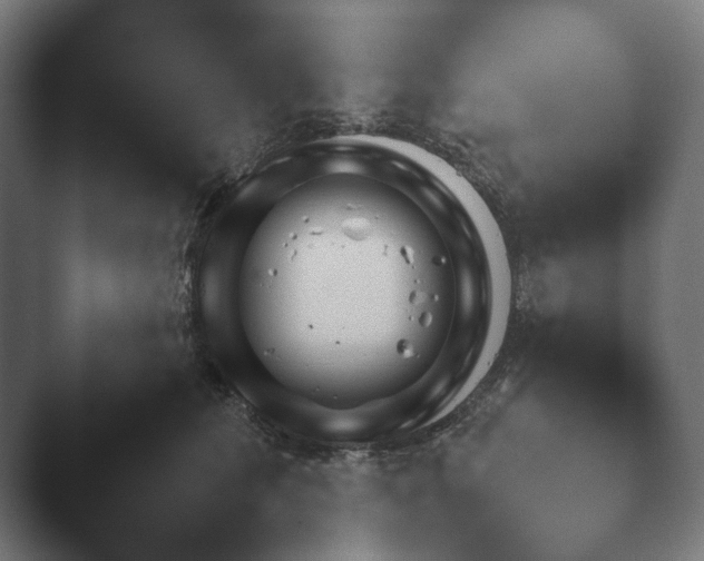 X0000047470613200503091601.png