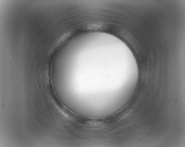 X0000054330633200508111920.png