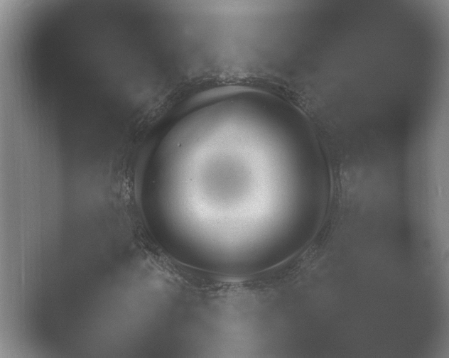 X0000054971250200509051455.png