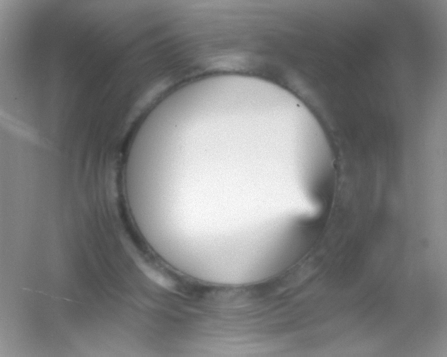 X0000054330106200508111929.png