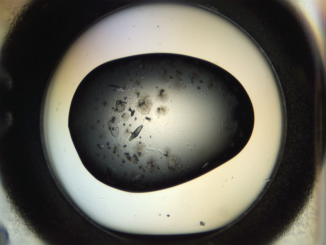 0579_C8_ImagerDefaults_9.jpg