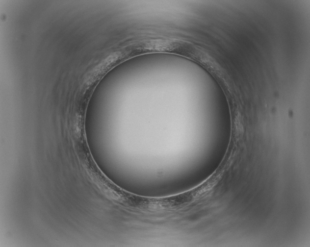 X0000054650305200508091648.png