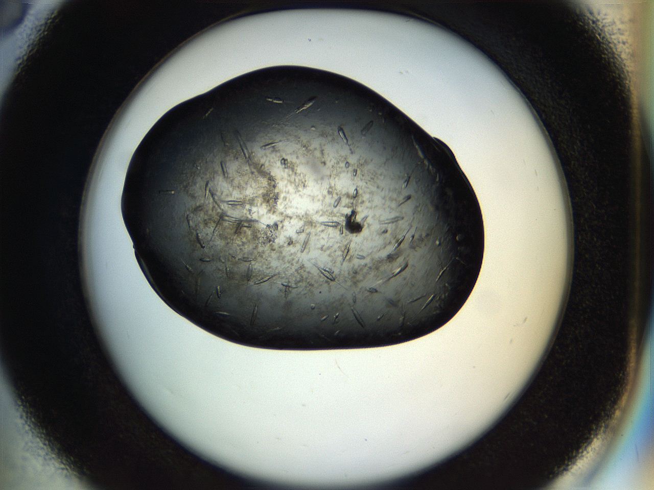 0579_D6_ImagerDefaults_9.jpg