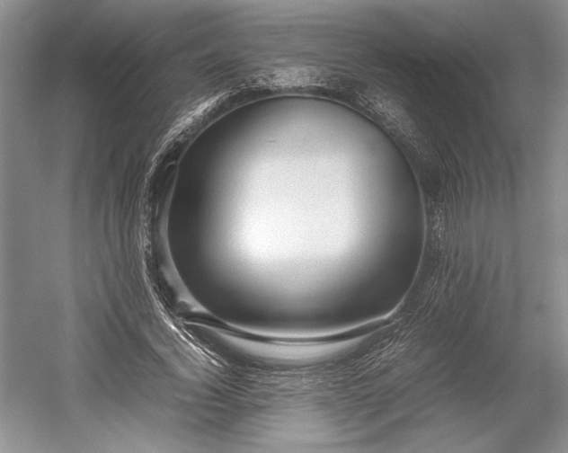 X0000055060732200508161645.png
