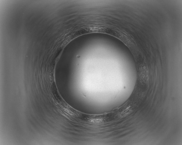 X0000055060653200508161647.png