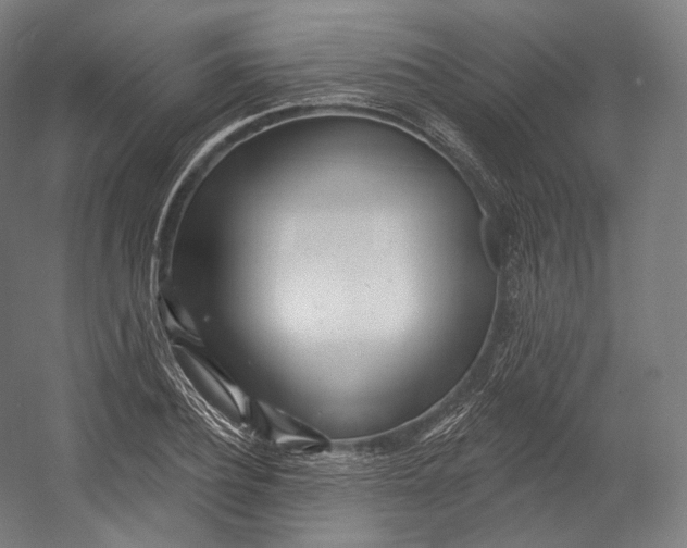 X0000055210932200508301318.png