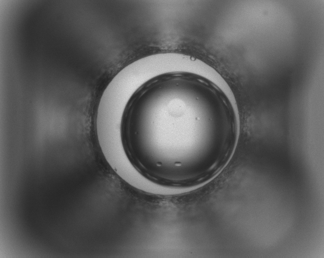 X0000044400697200412290431.png