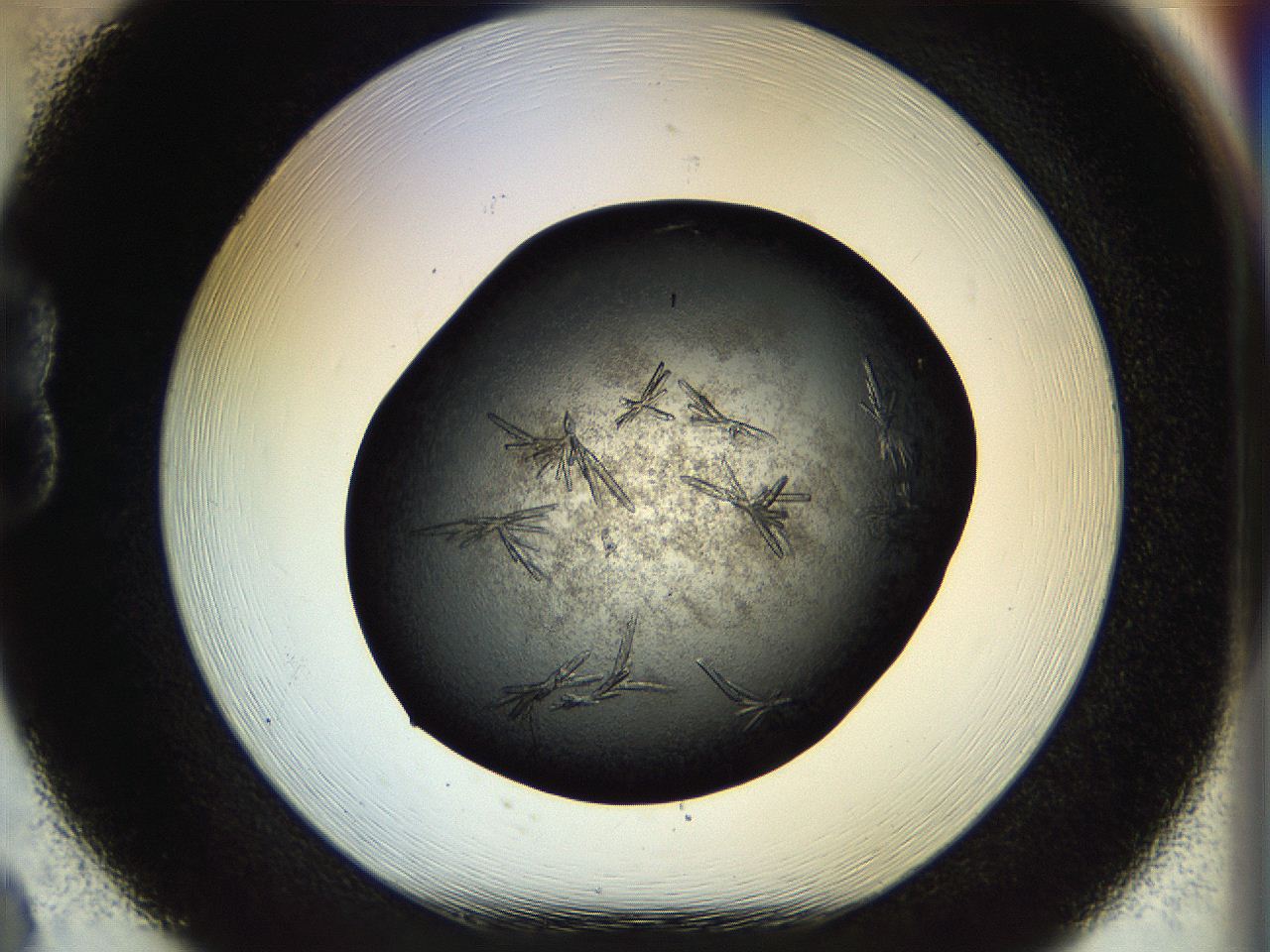 0579_B8_ImagerDefaults_9.jpg