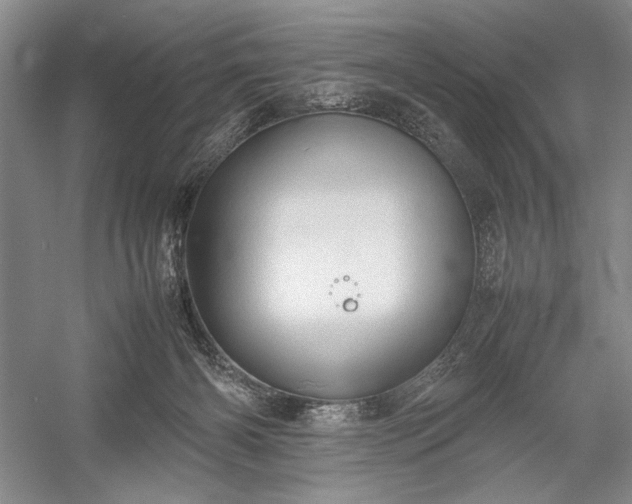 X0000055060126200508161656.png