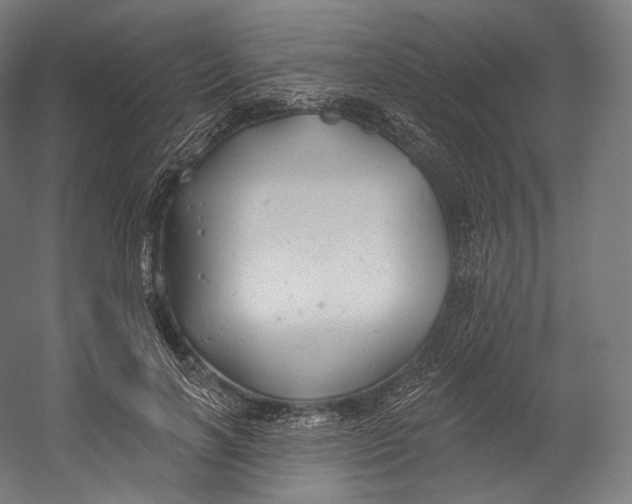 X0000055210646200508301323.png
