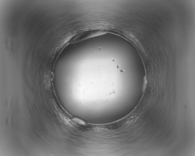 X0000055060393200508161651.png