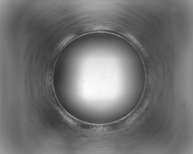 X0000054330793200508111918.png