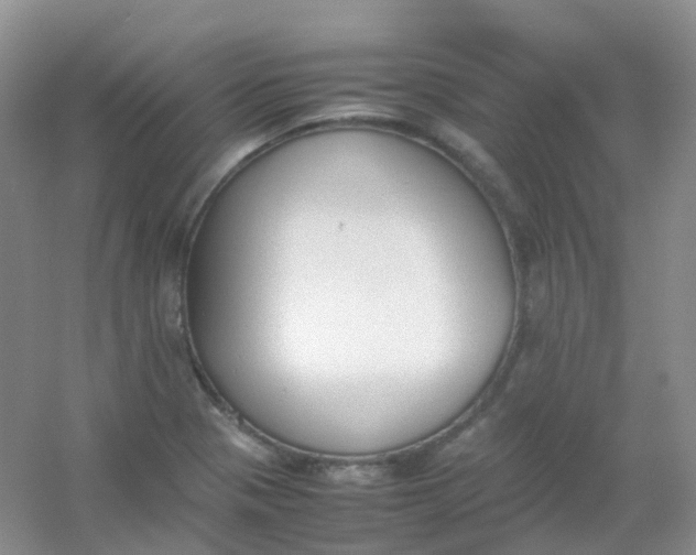 X0000054331321200508111909.png