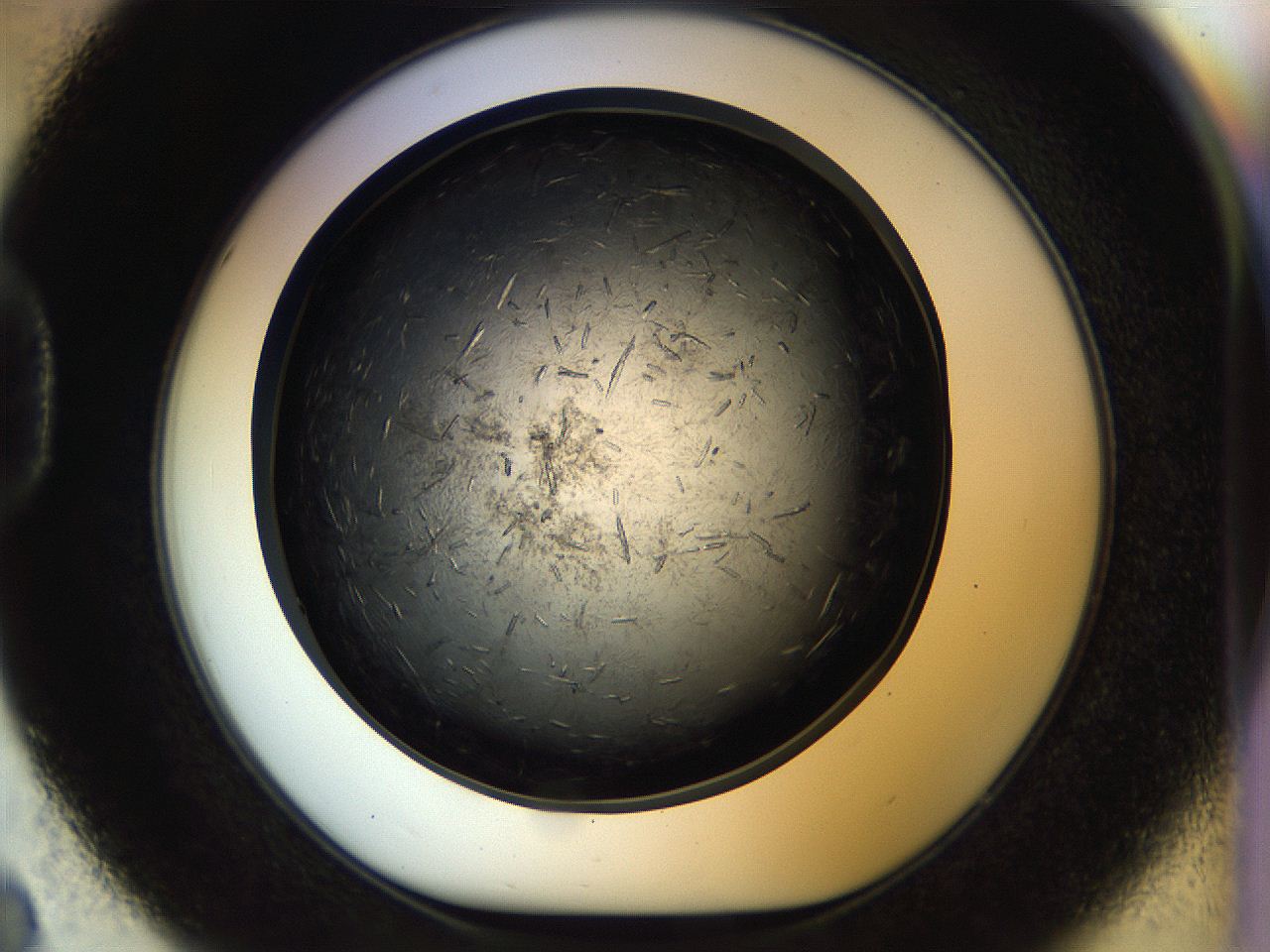 057a_D8_ImagerDefaults_7.jpg