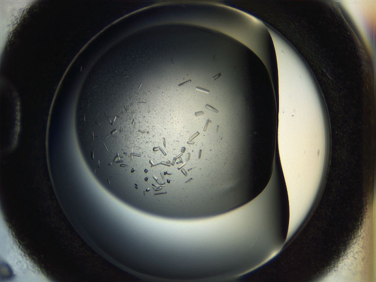 057a_D6_ImagerDefaults_9.jpg