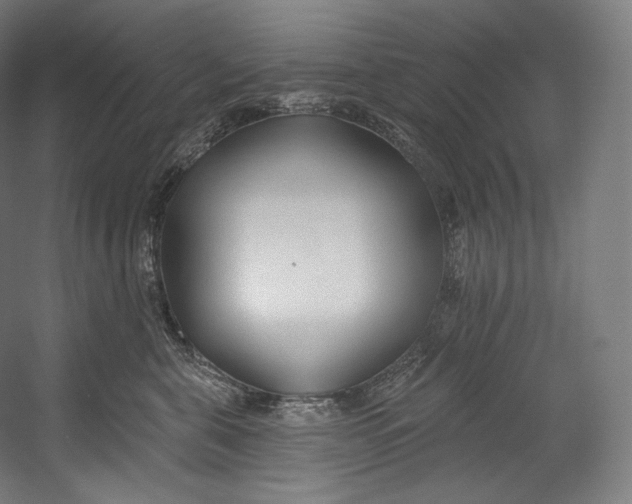 X0000055210571200508301325.png