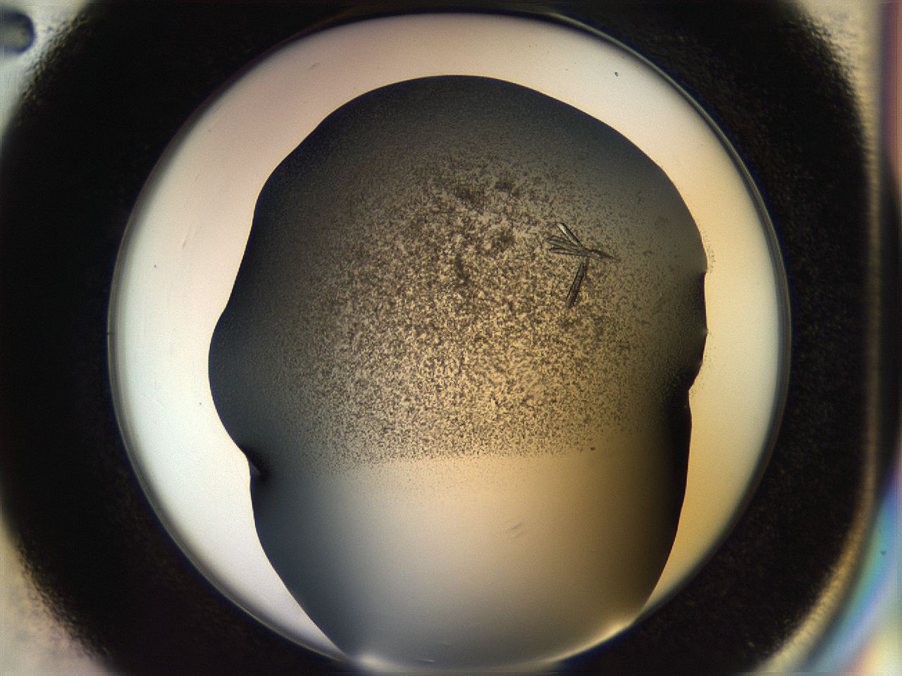 057a_C2_ImagerDefaults_9.jpg