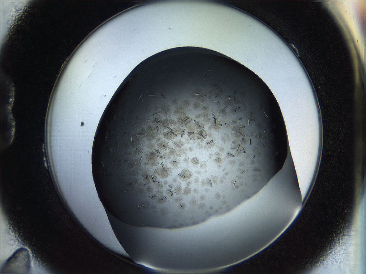 057a_B11_ImagerDefaults_7.jpg