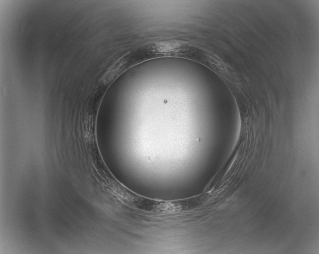 X0000055060421200508161651.png